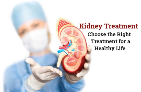 Image result for kidney treatment